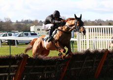 South West Syndicate Juvenile Hurdle