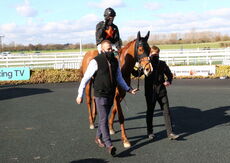 South West Syndicate Juvenile Hurdle