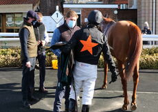 South West Syndicate Juvenile Hurdle
