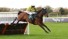 Allmankind (Harry Skelton)