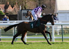 British Stallion Studs EBF 'NH' Nov Hurdle
