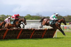 Hortons' Estate Ltd Maiden Hurdle