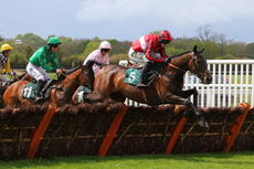 Hortons' Estate Ltd Maiden Hurdle