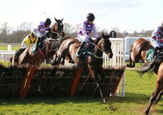 British Stallion Studs EBF 'NH' Nov Hurdle