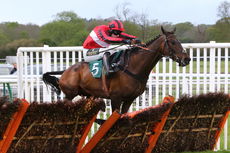 Hortons' Estate Ltd Maiden Hurdle