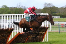 Hortons' Estate Ltd Maiden Hurdle