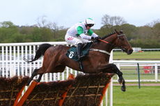 Hortons' Estate Ltd Maiden Hurdle