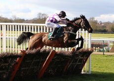 British Stallion Studs EBF 'NH' Nov Hurdle