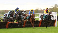 Racing Tv Novices' Hurdle