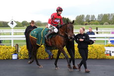 Hortons' Estate Ltd Maiden Hurdle