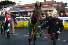 Hortons' Estate Ltd Maiden Hurdle