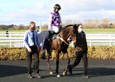 British Stallion Studs EBF 'NH' Nov Hurdle
