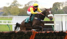 Racing Tv Novices' Hurdle