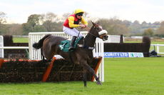 Racing Tv Novices' Hurdle