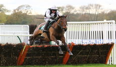 Racing Tv Novices' Hurdle