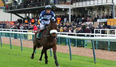 Racing TV Novices' Chase