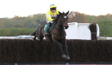 Racing TV Novices' Chase