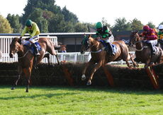 Racing TV Handicap Hurdle.