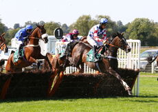 Visit racingtv.com Nov Hurdle (Div 1)