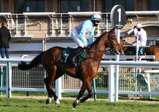 Budbrooke Handicap Chase.