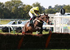 Visit racingtv.com Nov Hurdle (Div 1)