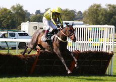Visit racingtv.com Nov Hurdle (Div 1)