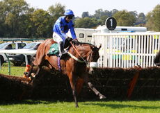 Visit racingtv.com Nov Hurdle (Div 1)