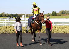 Visit racingtv.com Nov Hurdle (Div 1)