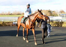 Budbrooke Handicap Chase.