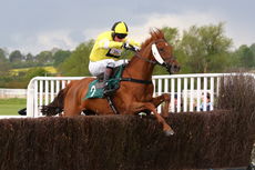Lovely Lorna's Cinquenta Celebration H'cap Chase.