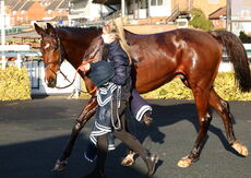 Budbrooke Handicap Chase.
