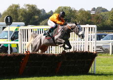 Visit racingtv.com Nov Hurdle (Div 2)