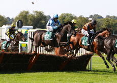 Visit racingtv.com Nov Hurdle (Div 2)