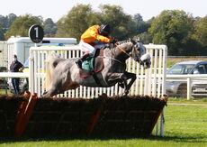Visit racingtv.com Nov Hurdle (Div 2)