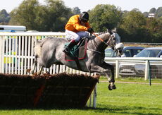 Visit racingtv.com Nov Hurdle (Div 2)