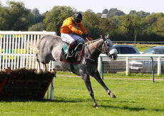 Visit racingtv.com Nov Hurdle (Div 2)