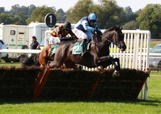 Visit racingtv.com Nov Hurdle (Div 2)