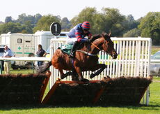 Visit racingtv.com Nov Hurdle (Div 2)