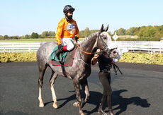 Visit racingtv.com Nov Hurdle (Div 2)