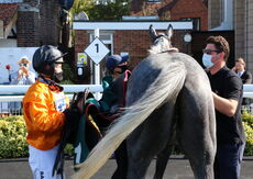 Visit racingtv.com Nov Hurdle (Div 2)