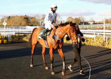 Racing TV Conditional Jockeys' H'cap Hurdle.