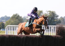 racingtv.com Nov H'cap Chase