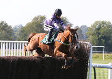 racingtv.com Nov H'cap Chase