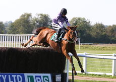 racingtv.com Nov H'cap Chase
