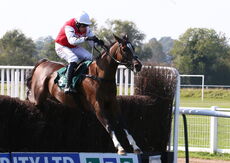 racingtv.com Nov H'cap Chase