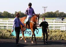 racingtv.com Nov H'cap Chase