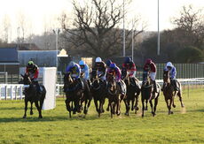 British Stallion Studs EBF Mares' 'NH' Flat Race