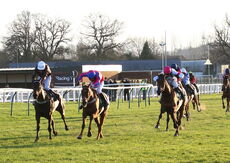 British Stallion Studs EBF Mares' 'NH' Flat Race