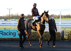 British Stallion Studs EBF Mares' 'NH' Flat Race
