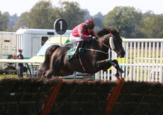 racingTV.com Mares' Handicap Hurdle